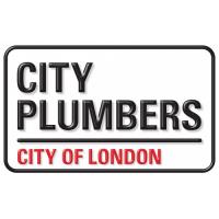 City Plumbers image 1